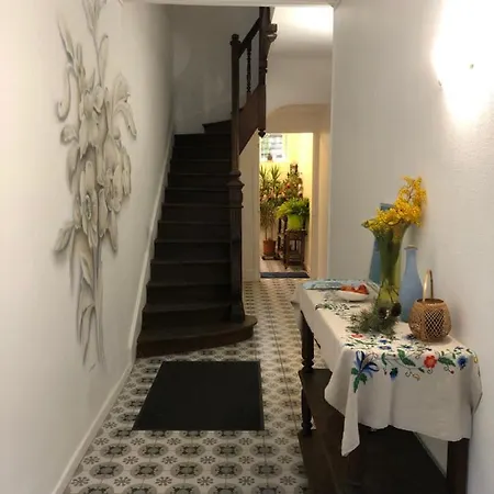 Apartment Camelia Studio De Charme A Cote Des Thermes Vichy