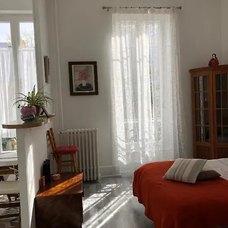 Camelia Studio De Charme A Cote Des Thermes Apartment Vichy